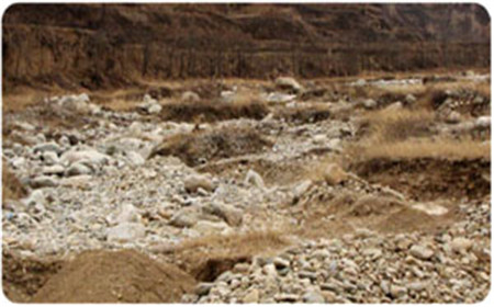 皇家国际·(中国区)有限公司官网