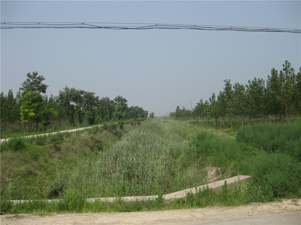 皇家国际·(中国区)有限公司官网