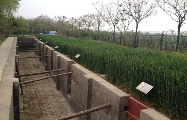 皇家国际·(中国区)有限公司官网