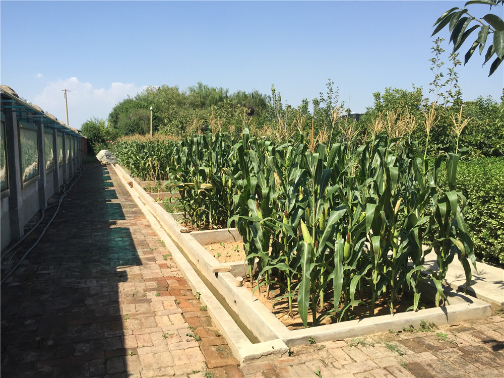 皇家国际·(中国区)有限公司官网