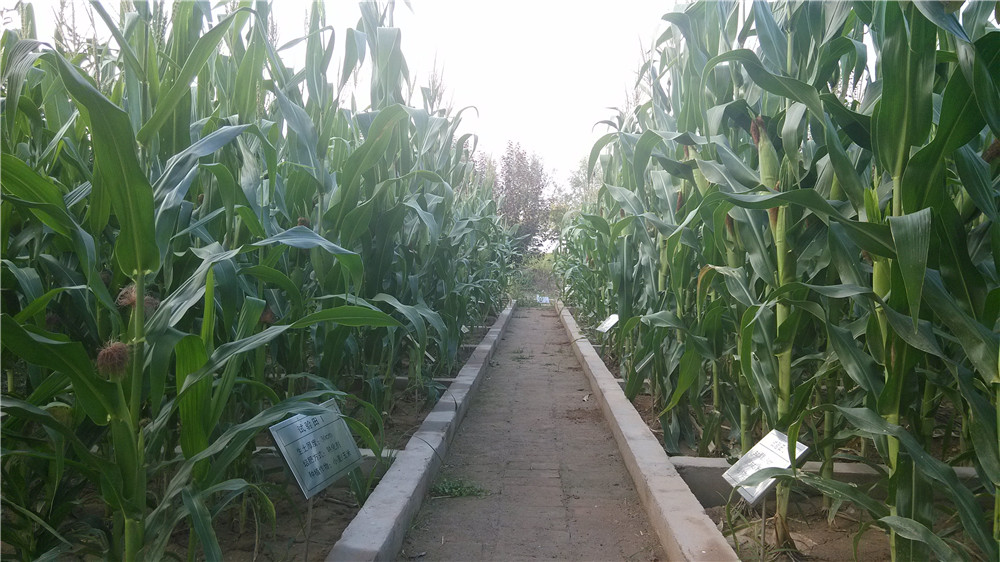 皇家国际·(中国区)有限公司官网