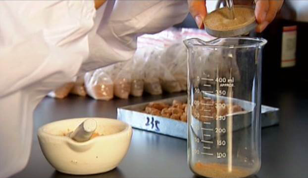 皇家国际·(中国区)有限公司官网