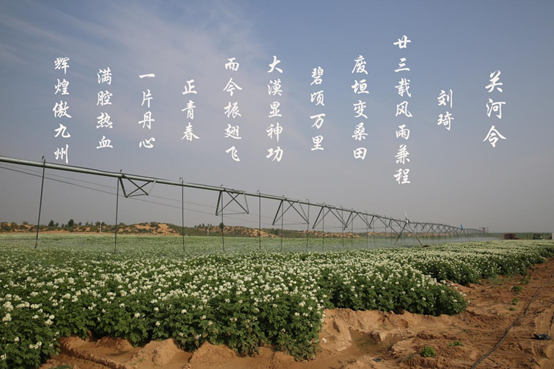 皇家国际·(中国区)有限公司官网