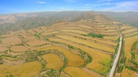 皇家国际·(中国区)有限公司官网