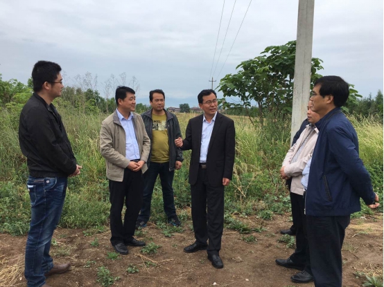 皇家国际·(中国区)有限公司官网