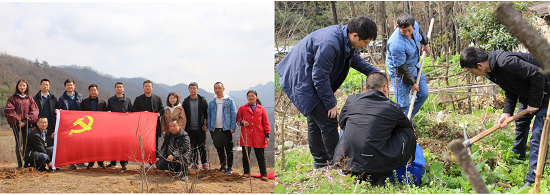 皇家国际·(中国区)有限公司官网