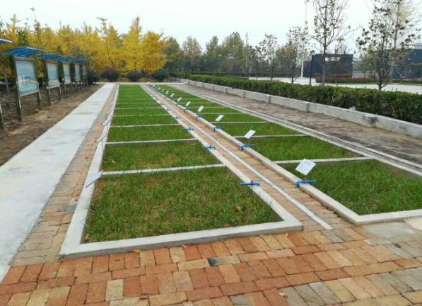 皇家国际·(中国区)有限公司官网