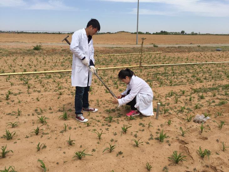 皇家国际·(中国区)有限公司官网