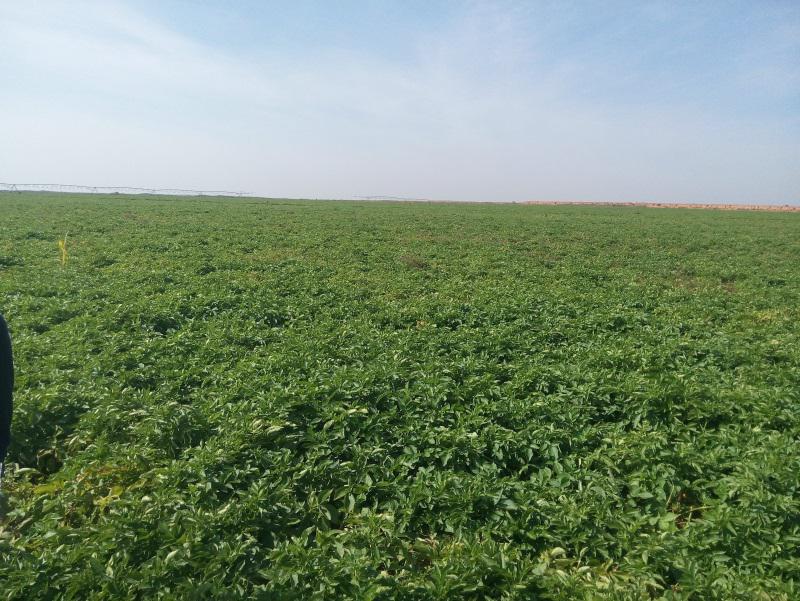 皇家国际·(中国区)有限公司官网