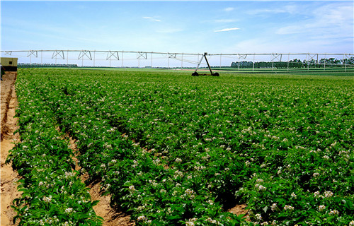 皇家国际·(中国区)有限公司官网